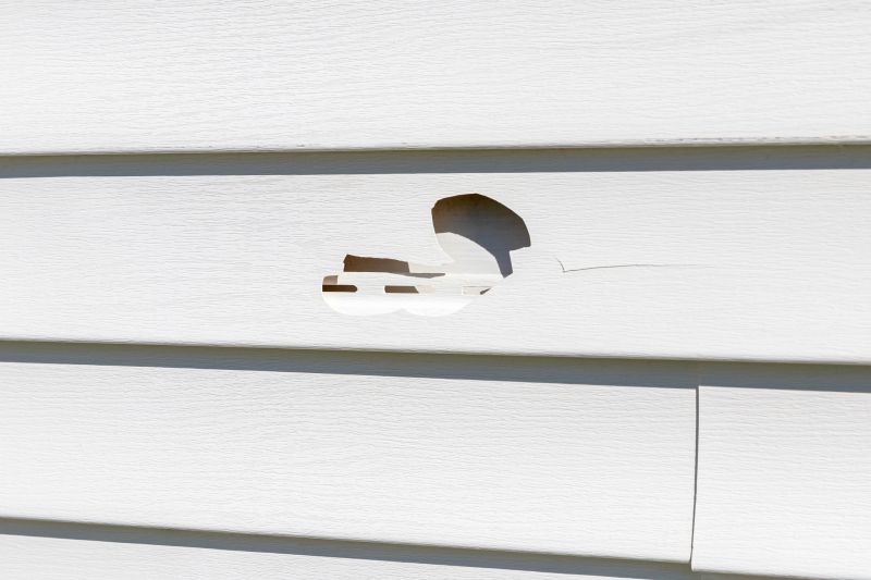 Damaged Siding Panel Replacement